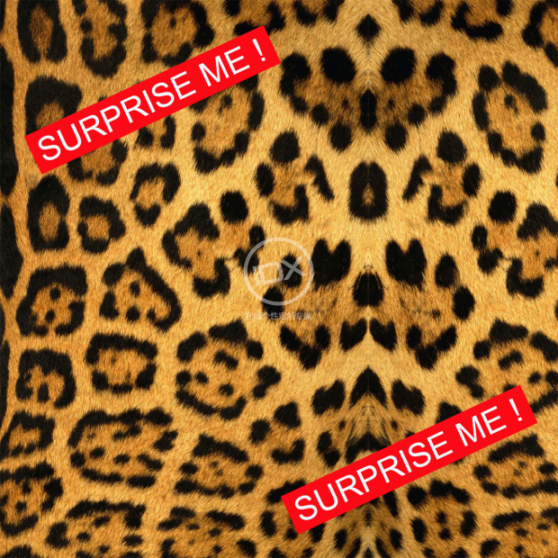 surprise me 豹纹